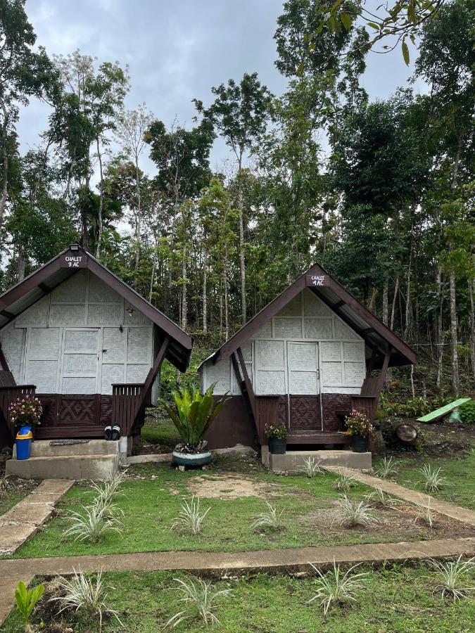 Roca'S Homestay Backpackers Chalet Batuan Zewnętrze zdjęcie